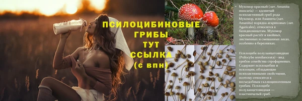 таблы Волосово