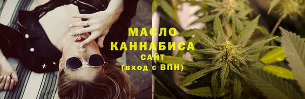 гидра Верея